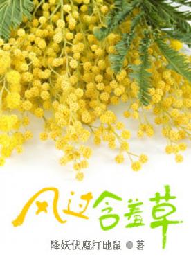 wind over mimosa