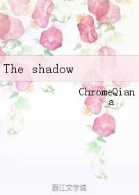 the shadow