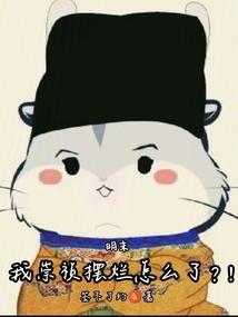 Late Ming Dynasty: So what if Emperor Chongzhen was inactive?!
