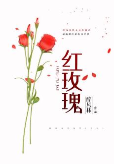 Red Rose Second Miss's Beloved Wife